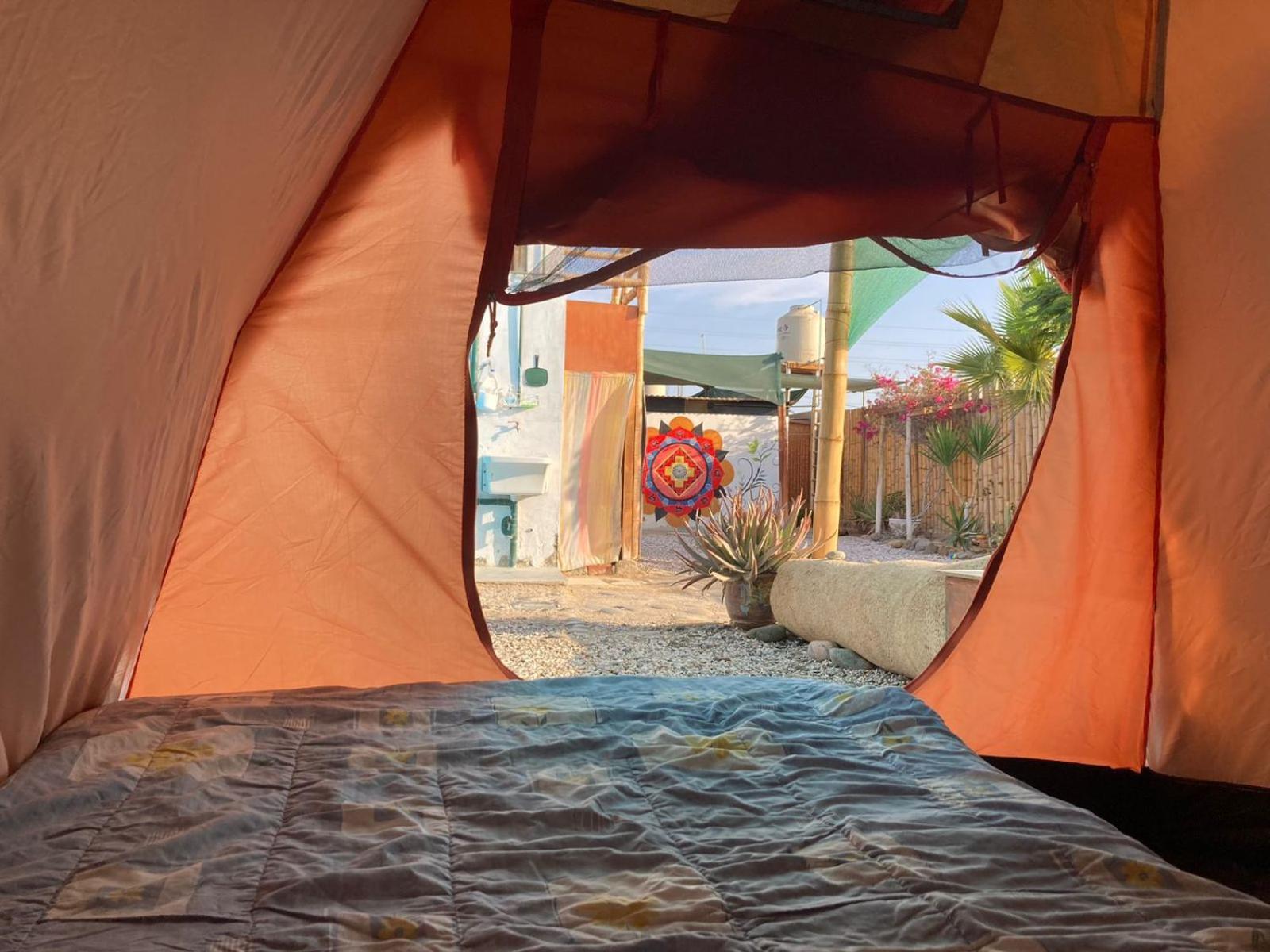 Paracas Camp Lodge & Experiences Buitenkant foto